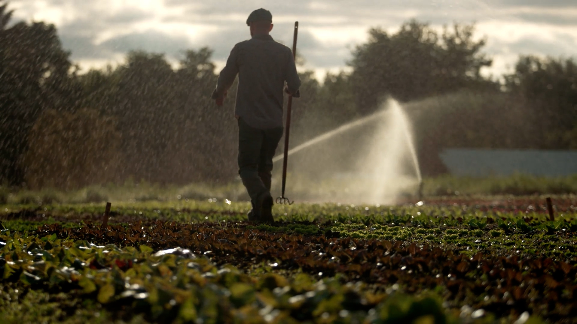 Agricoltura camuna, a disposizione 320 mila euro