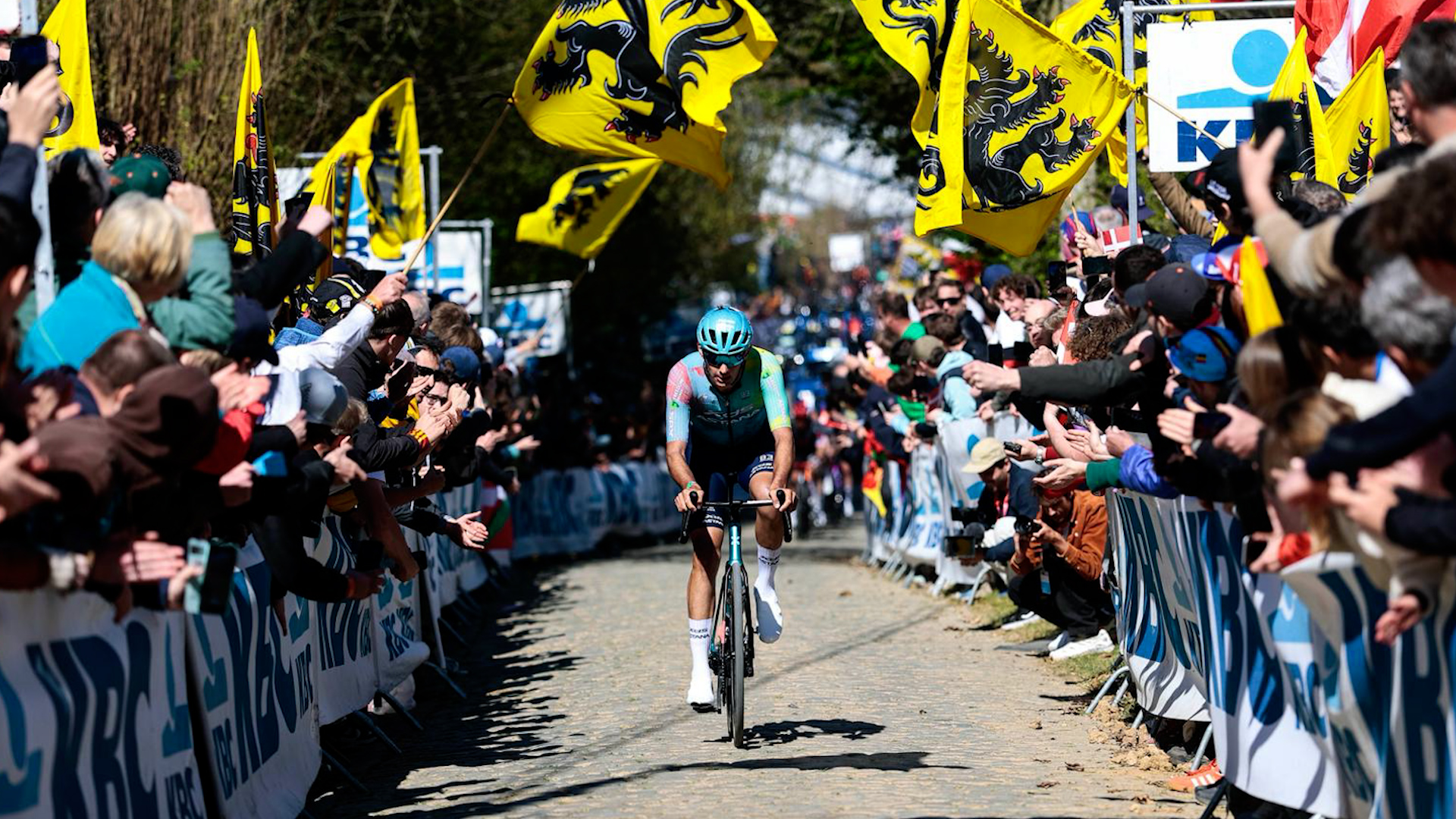 Dopo l'infortunio la seconda stagione nei professionisti per Alessandro Romele