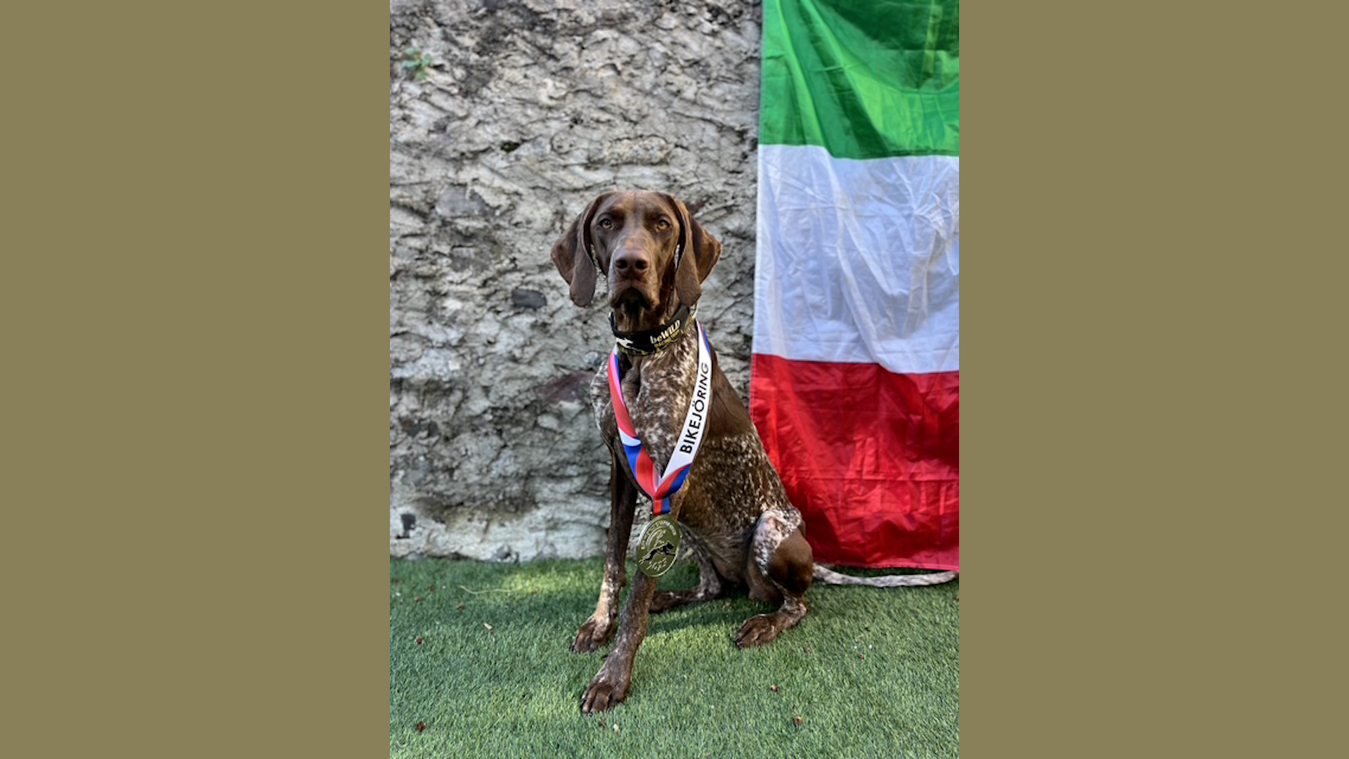 Davide Bertoletti argento al mondiale Canicross