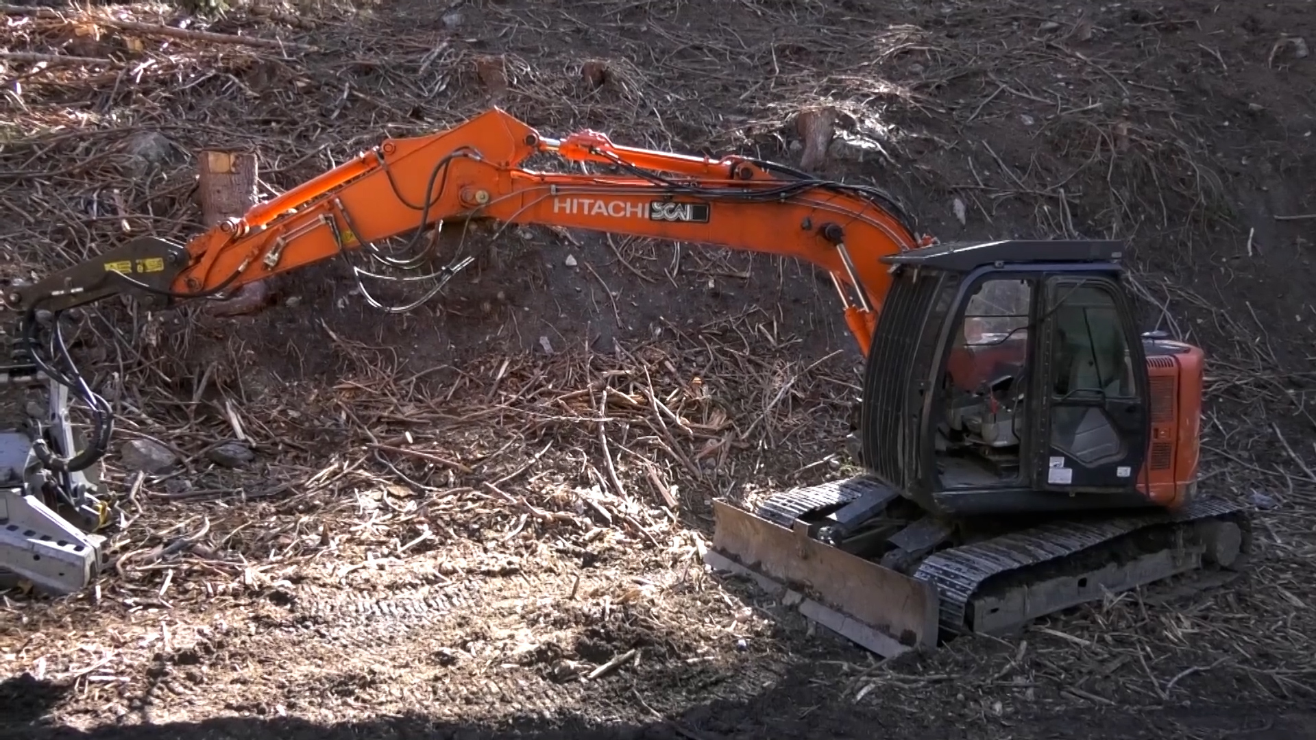 Strade e boschi: in arrivo 2,3 milioni