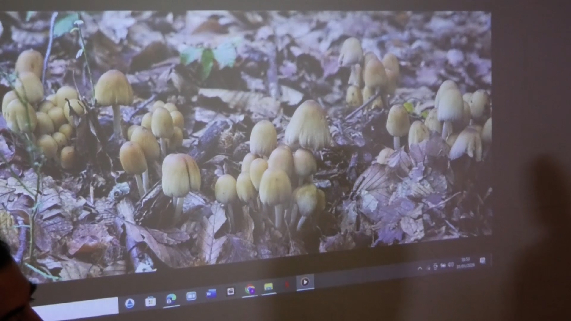 Cevo, presentata l'iniziativa 