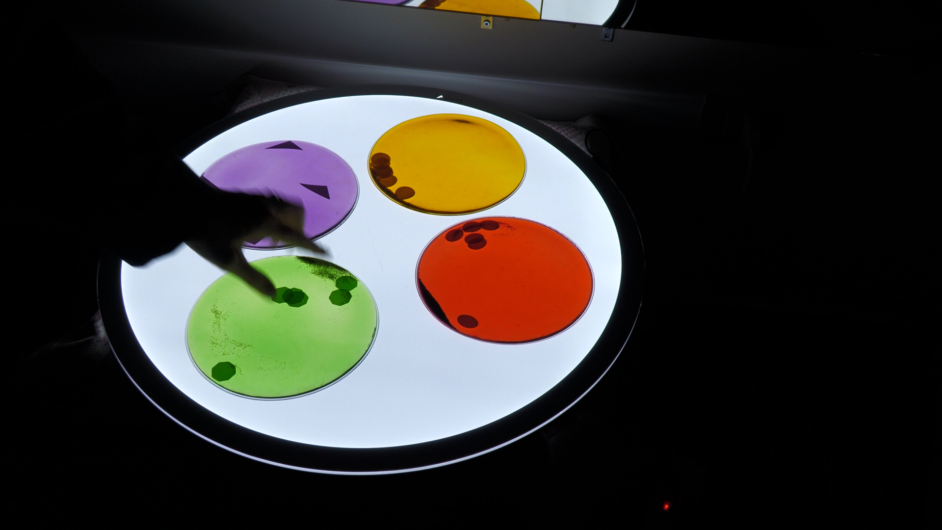 Coop Azzurra: nasce lo spazio Snoezelen