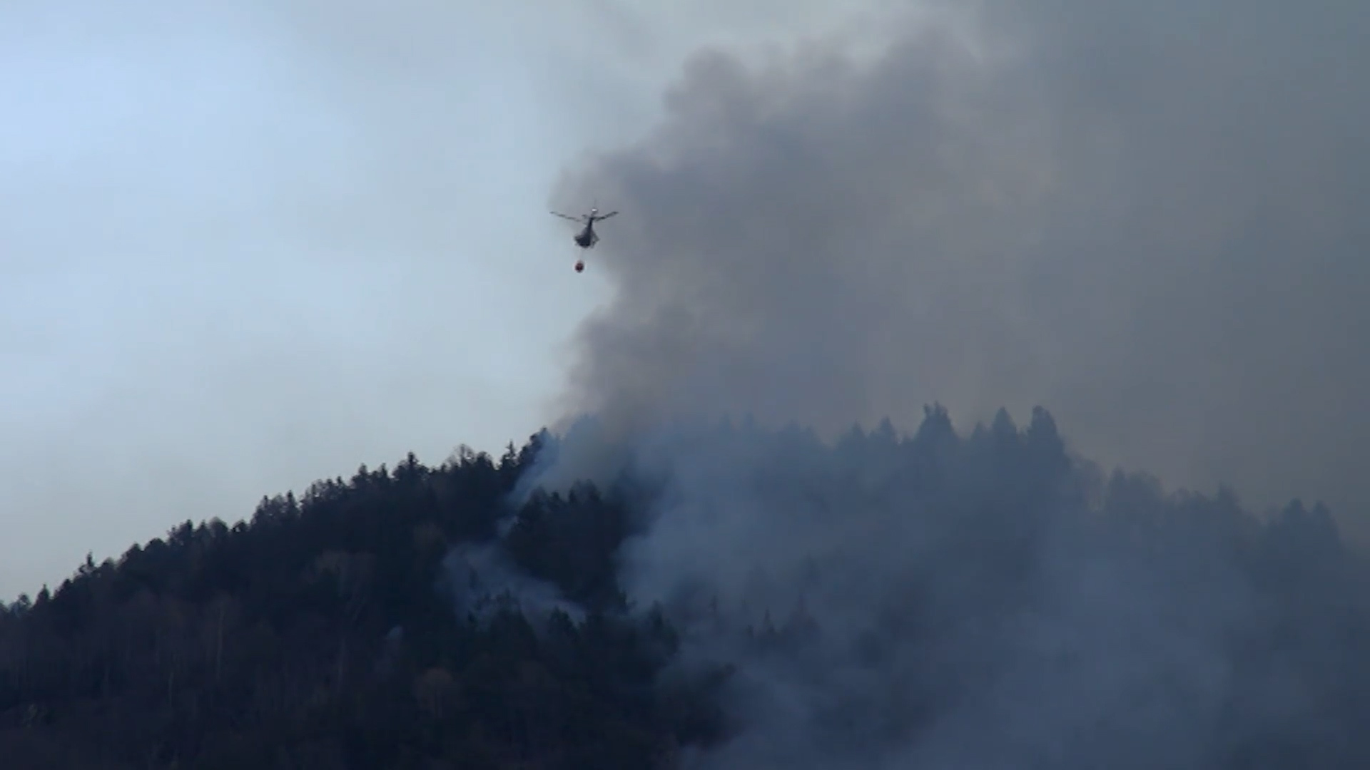 700 mila euro per bonificare i boschi incendiati