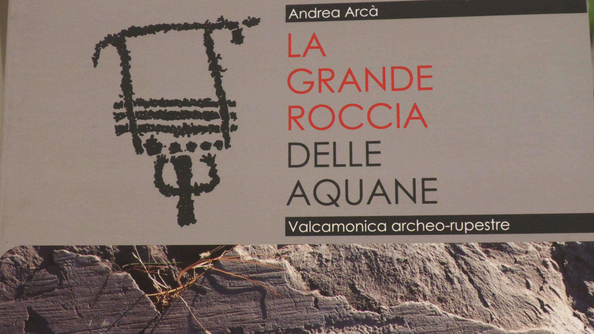Il libro di Arcà, nuovi elementi per capire le incisioni