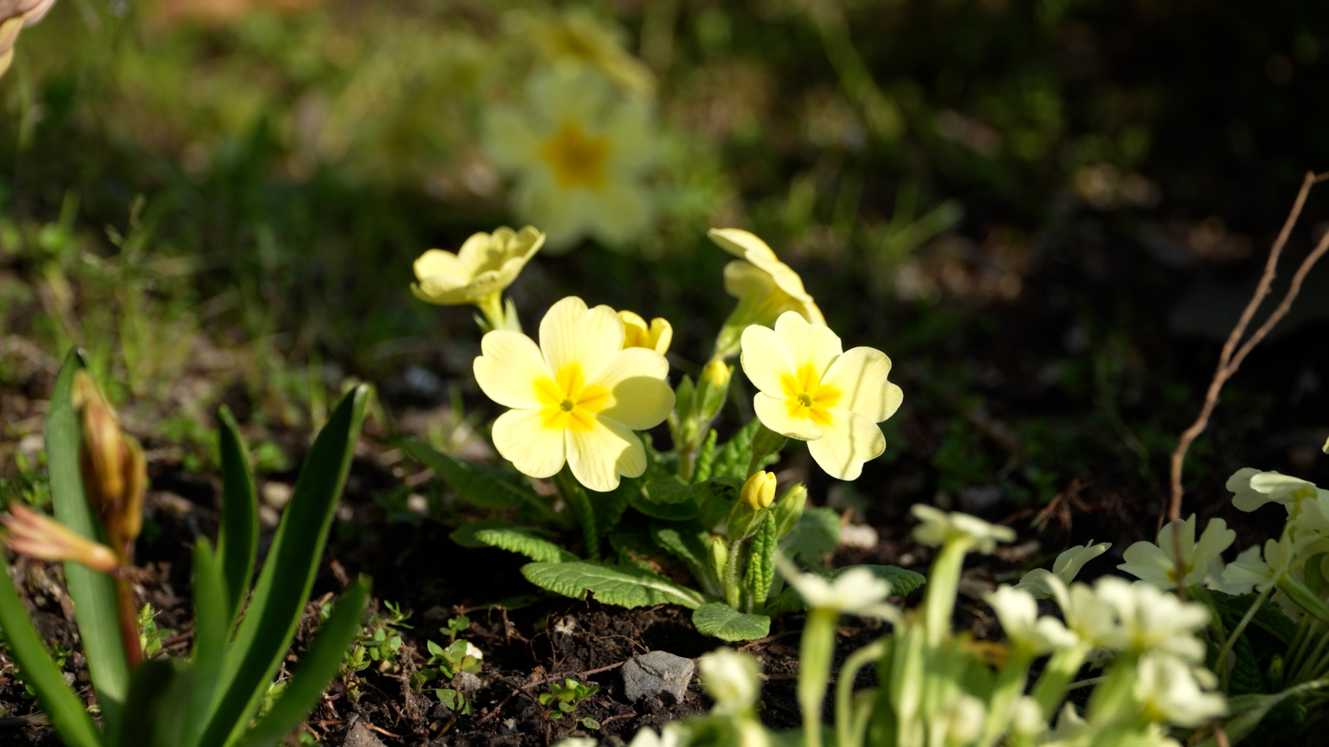 Meteo: weekend con il sole e temperature massime in rialzo