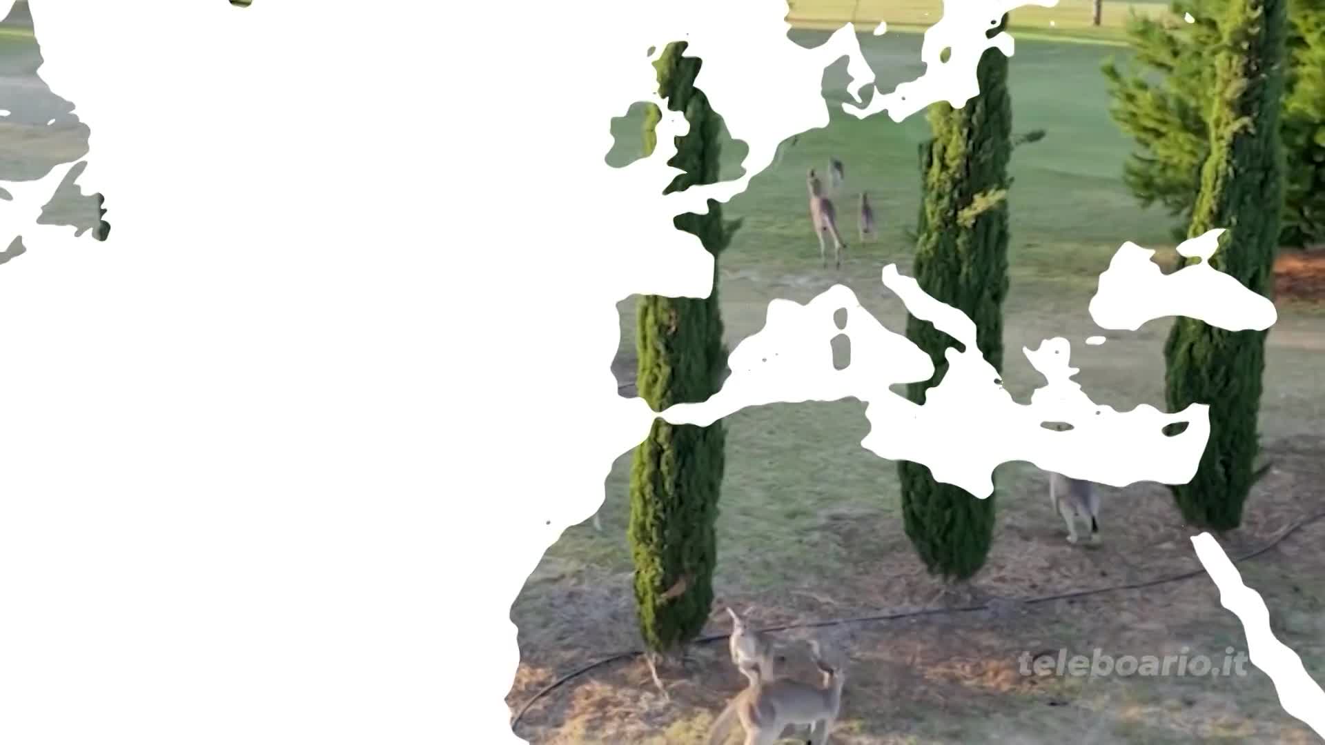 Gaia Rossati, da Esine all'altra parte del mondo per vivere in Australia