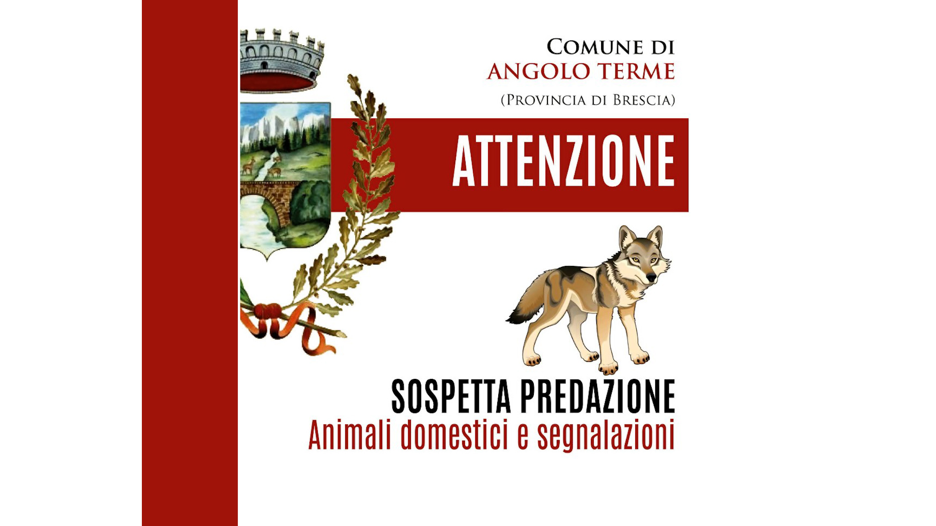Allerta per un lupo in centro abitato