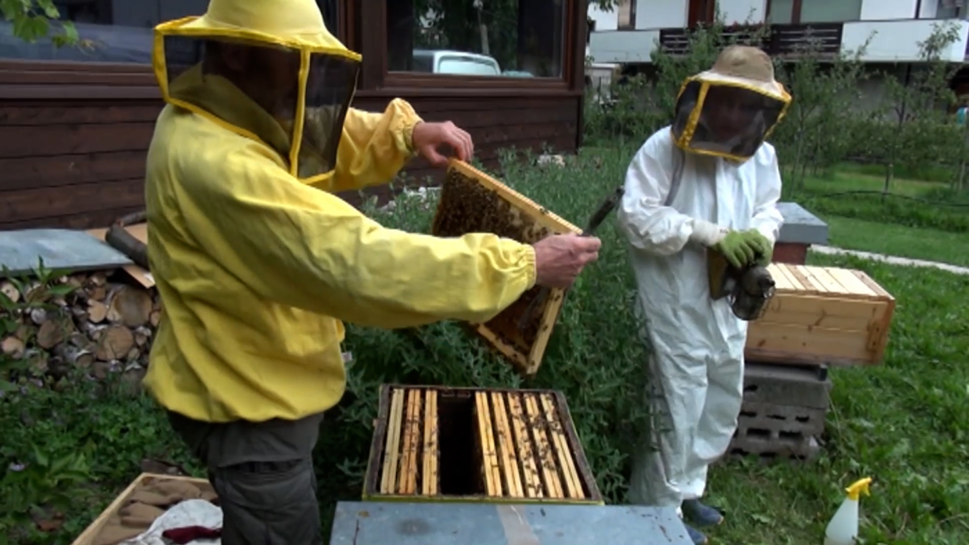 Cemmo, apicoltori a convegno