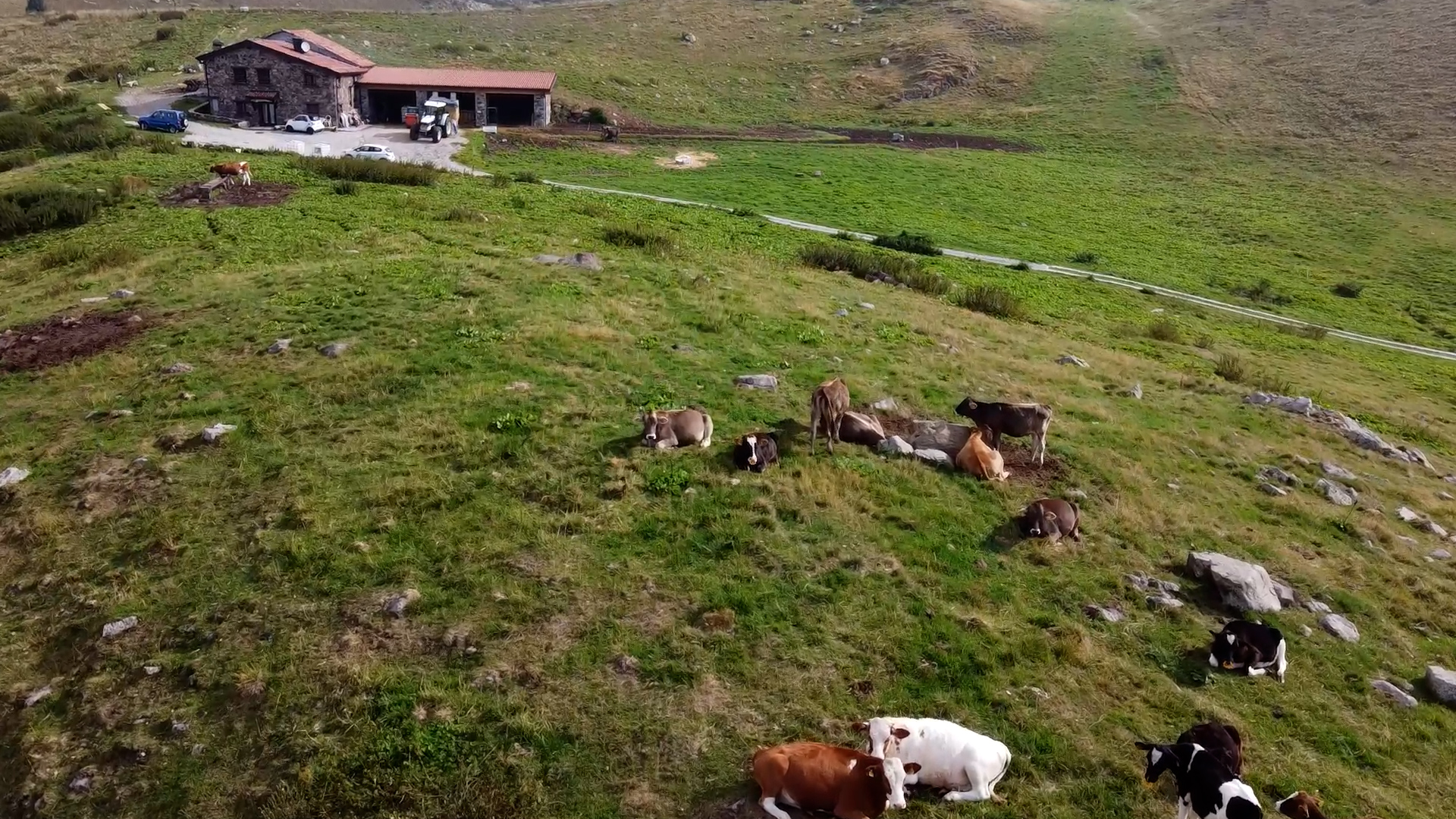 GAL Vallecamonica, 4 nuovi bandi per l'agricoltura