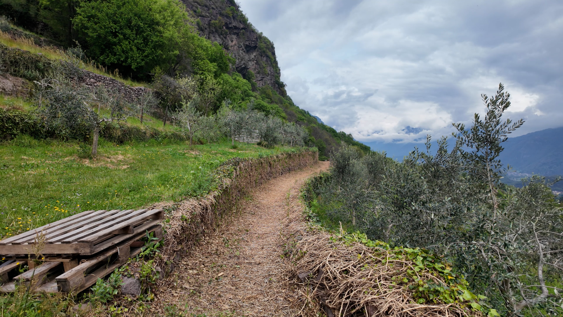 Pulizia per l'Ogliolo e per la vecchia strada per il lago Moro
