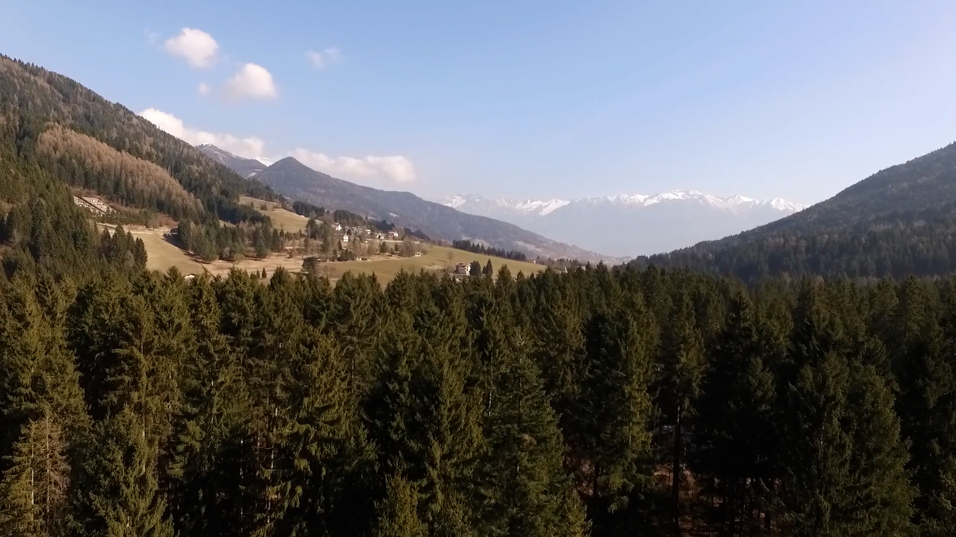 Pulizia dei boschi, finanziati dieci progetti