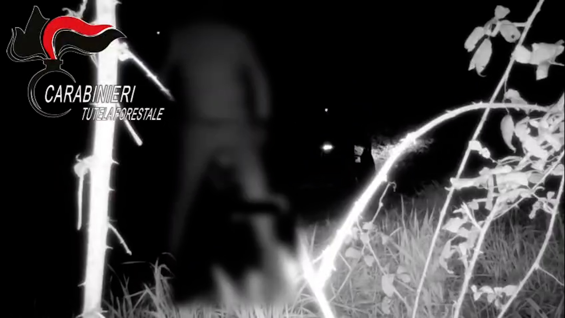 Abbandono rifiuti, sanzioni e bonifiche nel basso lago