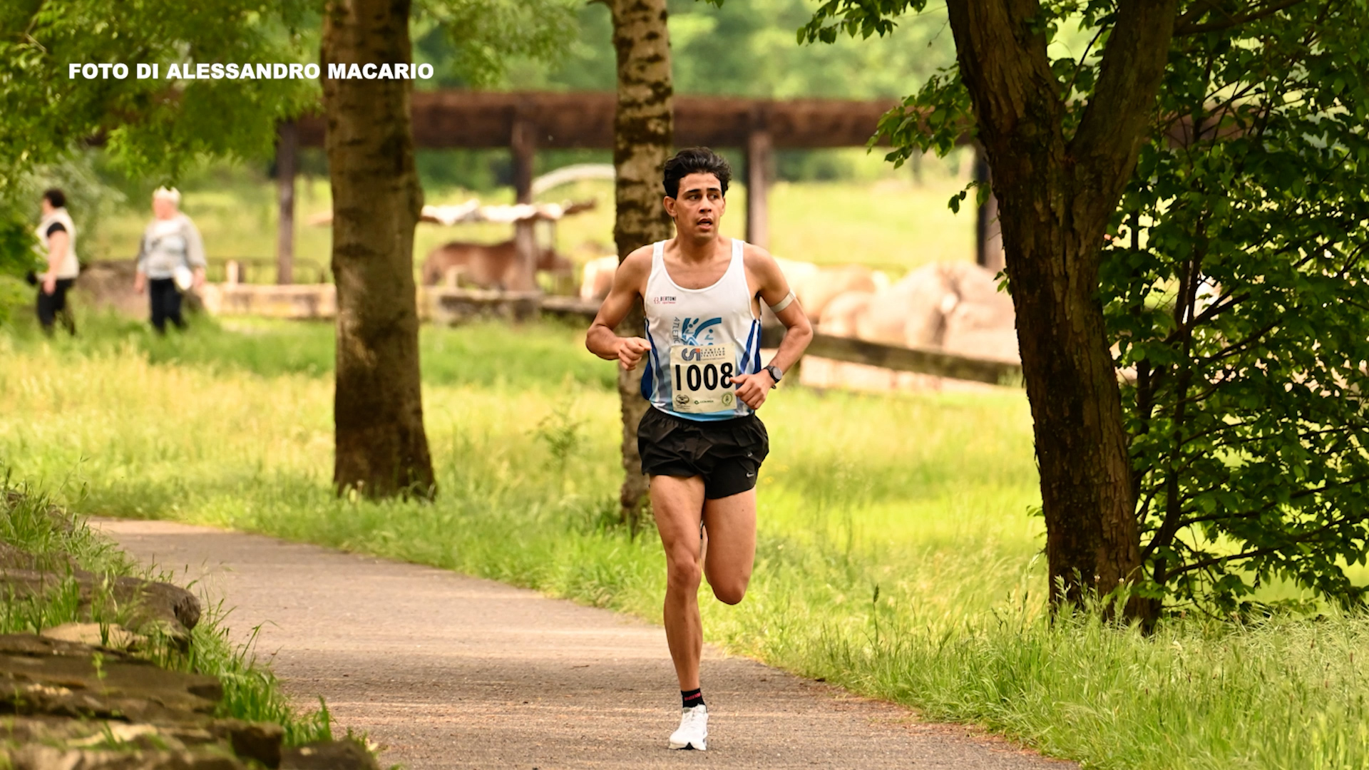 Atletica: in 800 alla Marcia delle Viole di Rogno