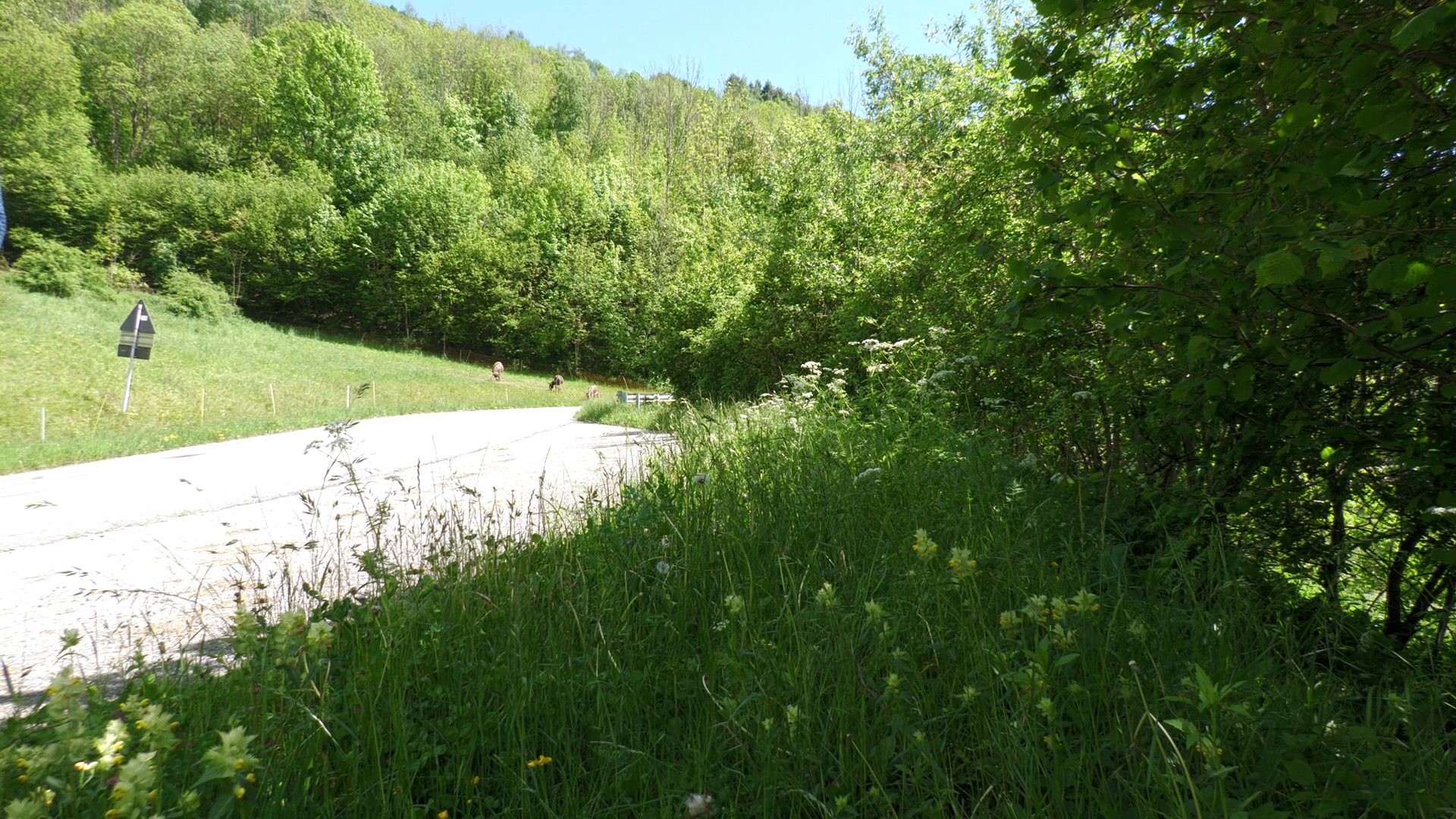 Aree interne: Lozio coltiverà biodiversità