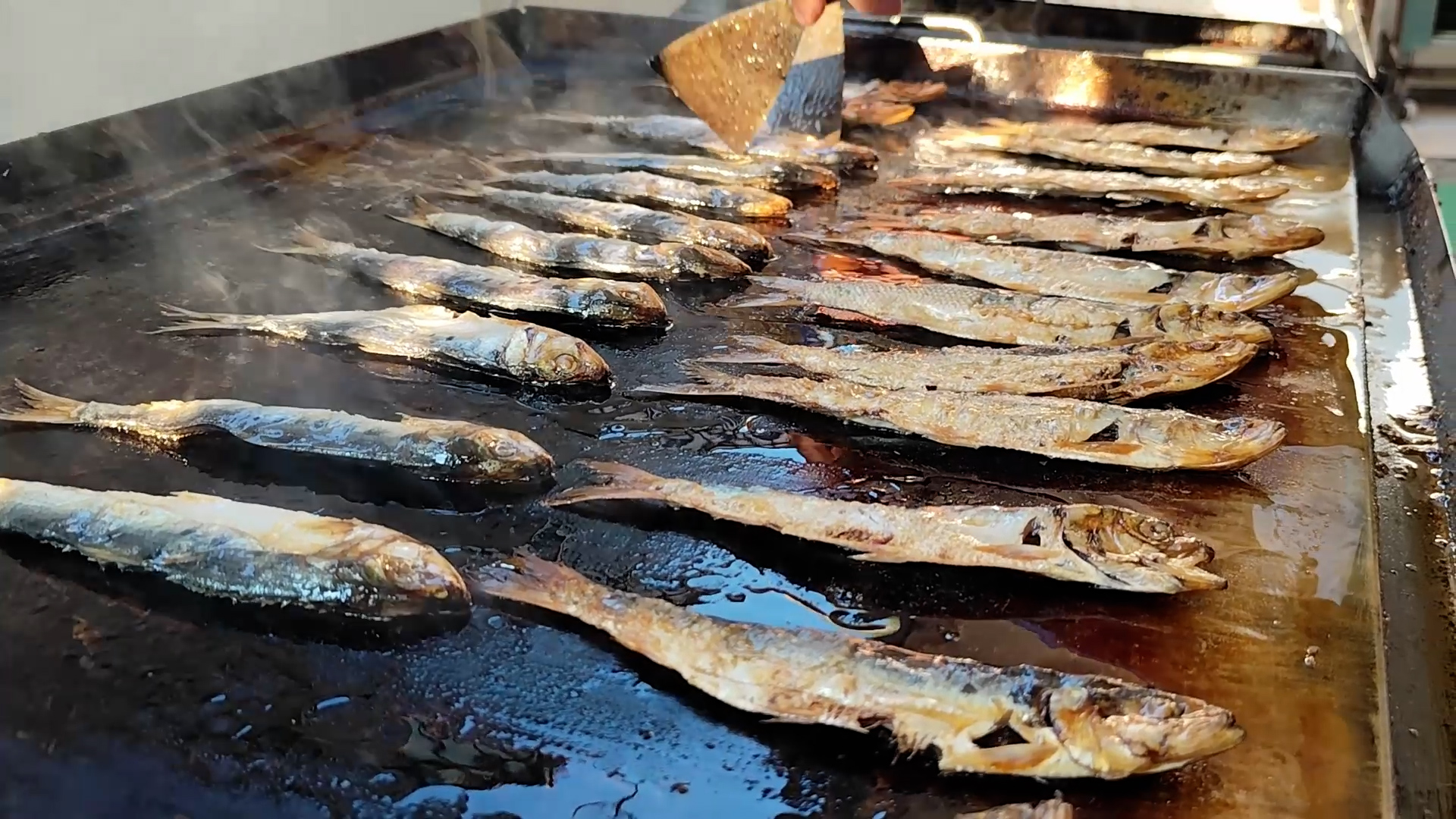 Festa per la 34esima sardinata