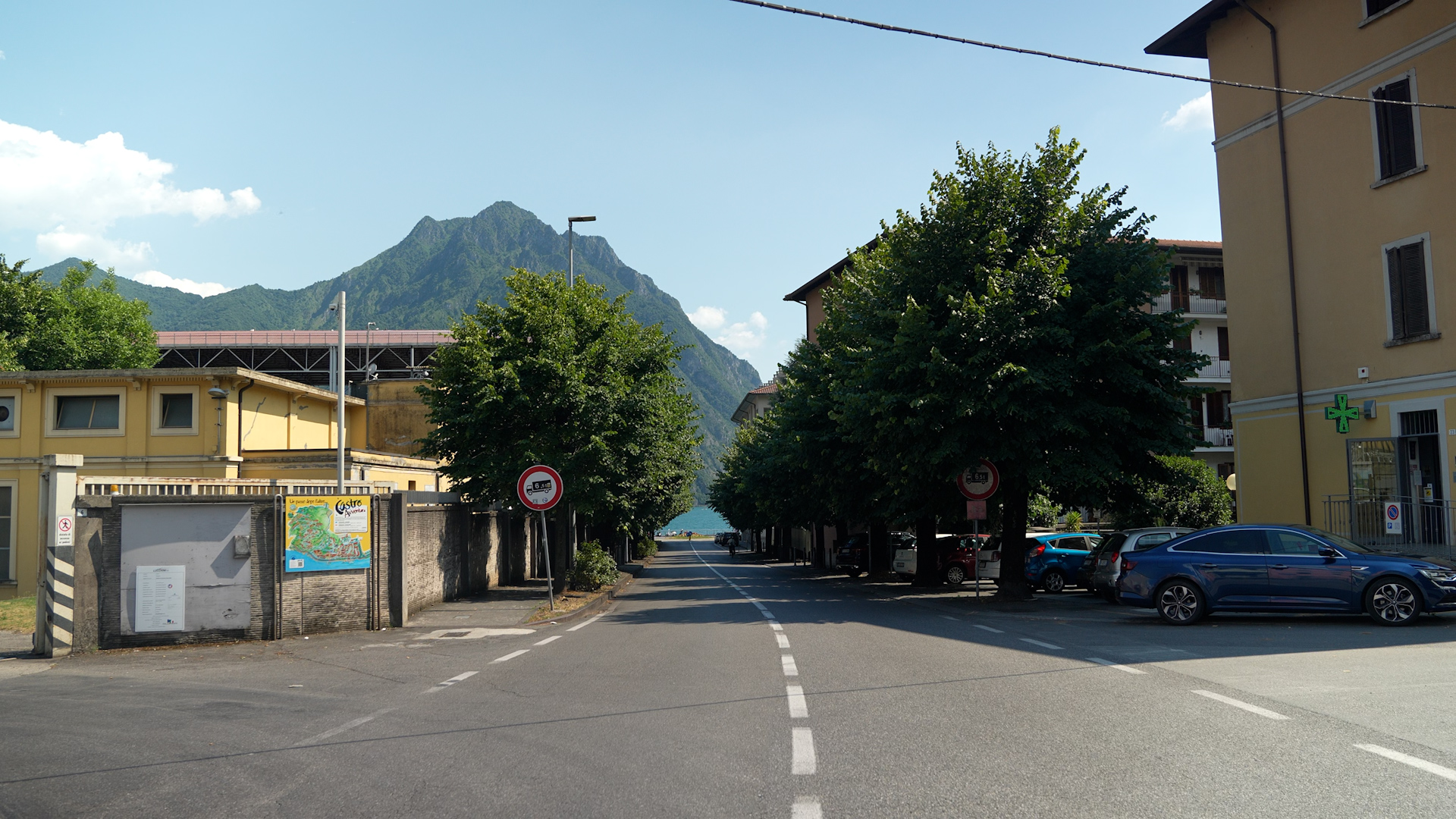 Tutti da tagliare gli storici tigli