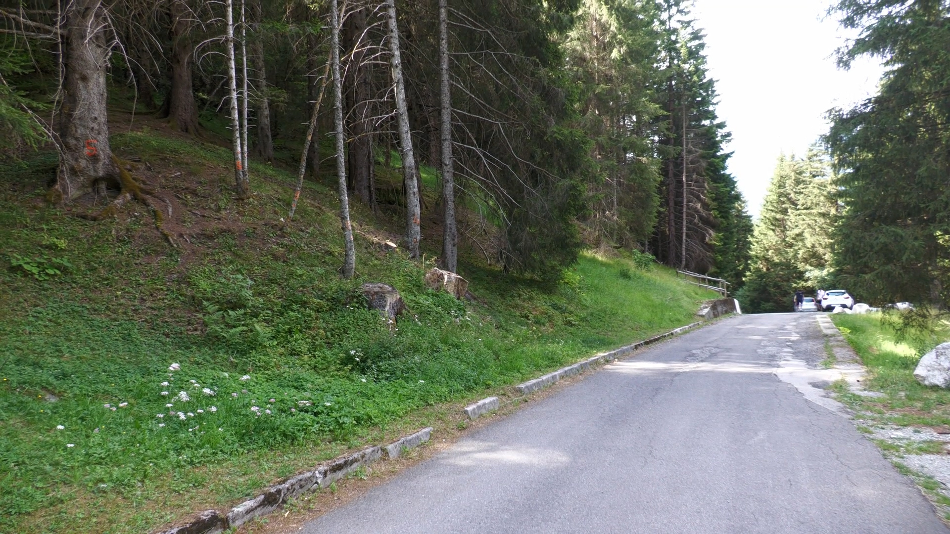 La strada per l'Aviolo diventerà a pagamento. Malcontento tra gli operatori turistici