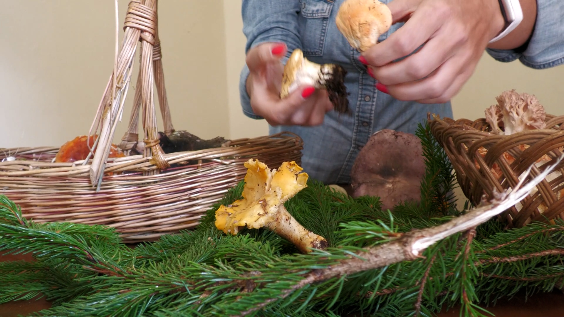 Estate senza funghi, ma i centri micologici sono aperti
