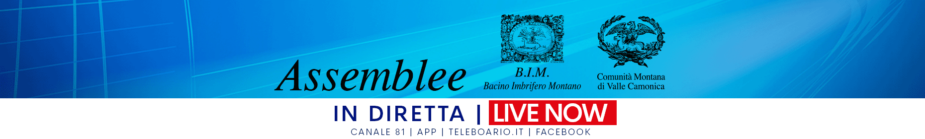 ASSEMBLEA BIM E CM live