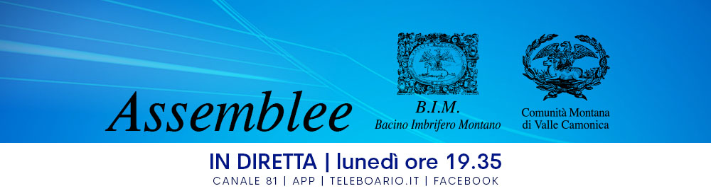 ASSEMBLEA BIM E CM