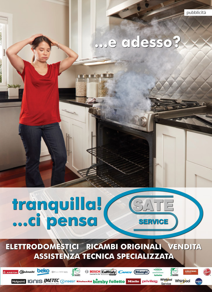 SATE SERVICE BANNER