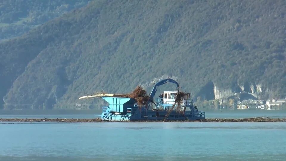 Tronchi nel lago: in due anni recuperate oltre duemila tonnellate