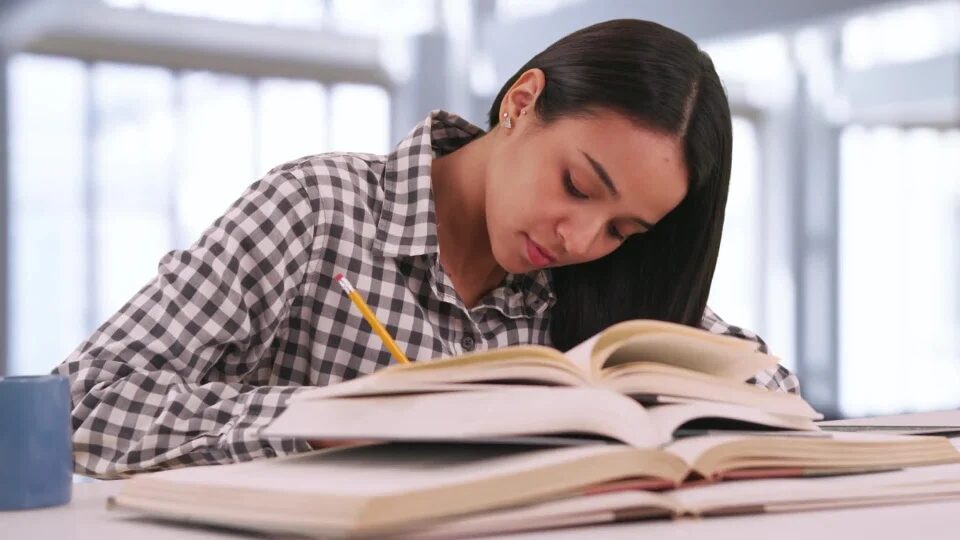 Il Bim dell’Oglio premia gli studenti meritevoli