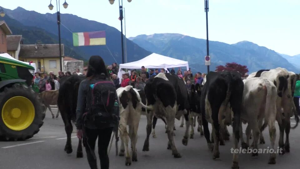 Paspardo in festa con la transumanza