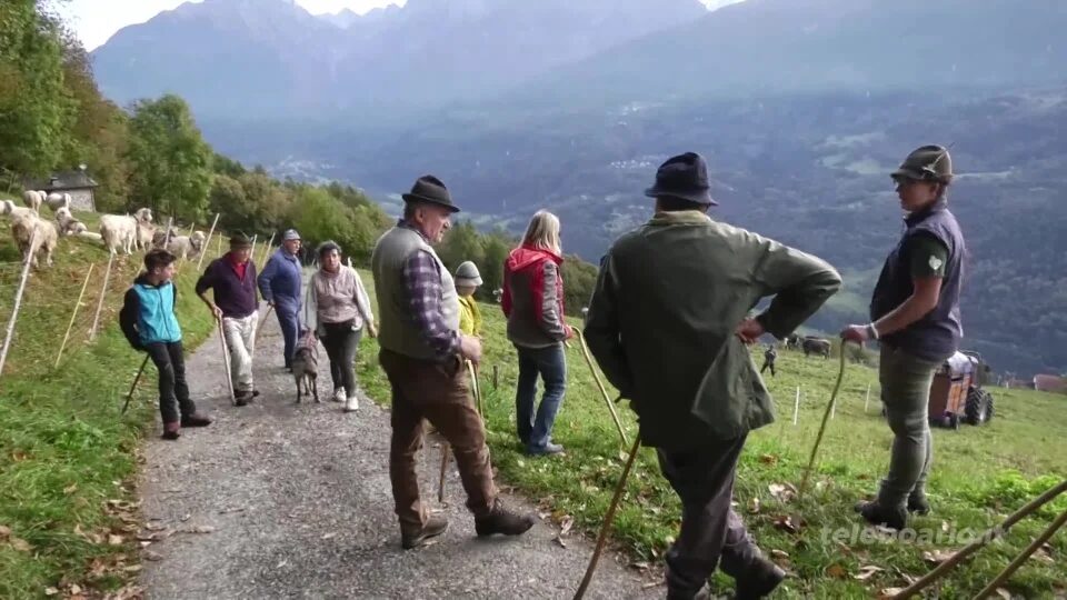 La transumanza di un giovane: “le istituzioni ci supportino”