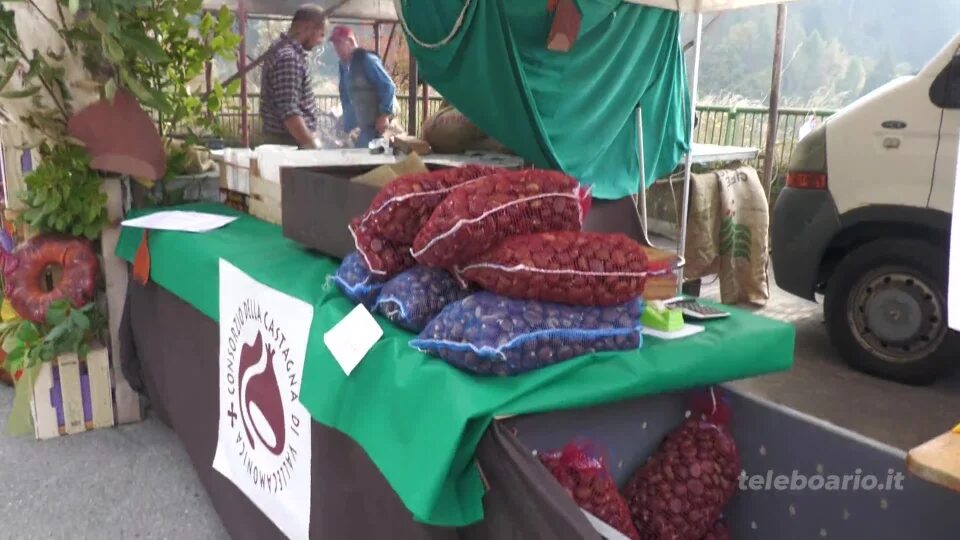 Sagra della castagna, Paspardo fa il pienone