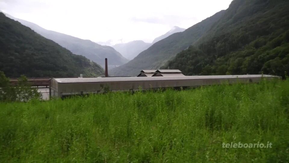Forno Allione: dalla collina spuntano nuovi veleni