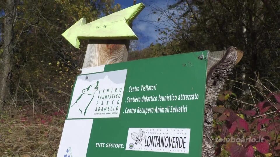 Il Centro Faunistico di Paspardo chiude per l’inverno