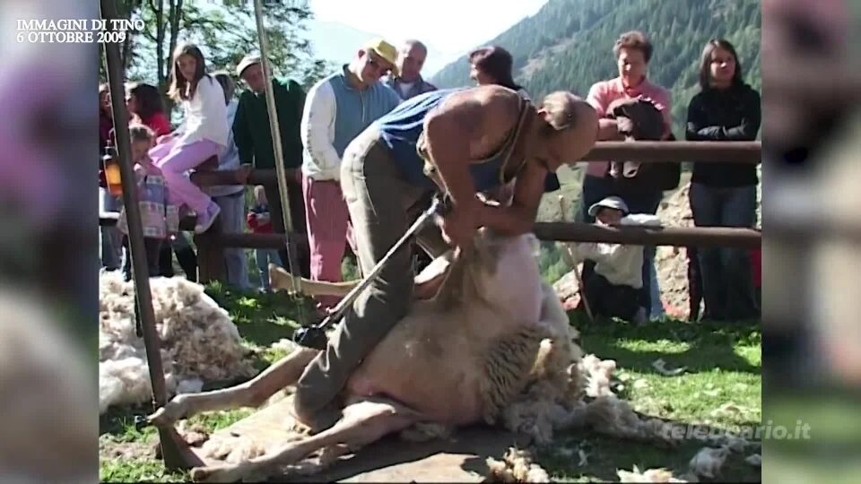Nel mondo dei pastori in ricordo di Tino Ziliani