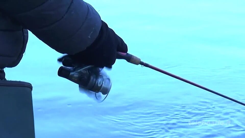 Fine anticipata per l’attuale gestione del bacino di pesca