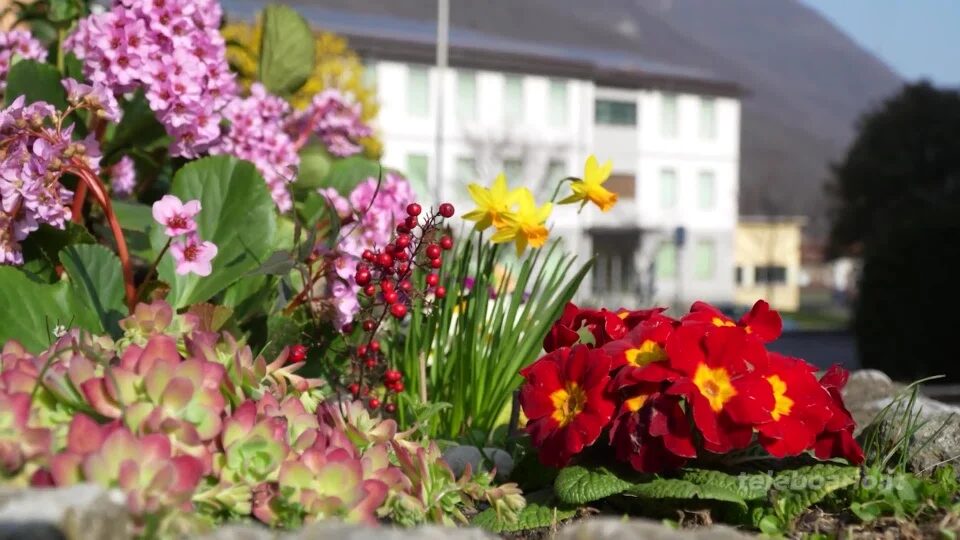 Turismo: anticipo di primavera sul Sebino