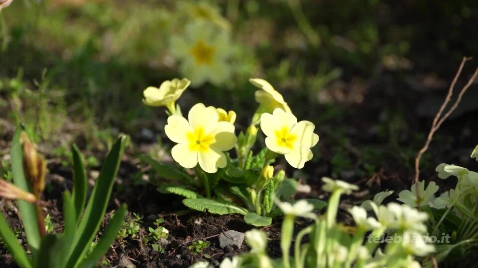 Meteo: weekend con il sole e temperature massime in rialzo