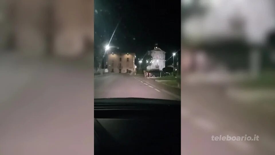 Un cervo passeggia davanti al municipio. In paese fiocco azzurro per un nuovo highlander