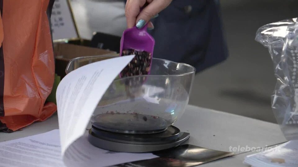 Esine, distribuite le sementi del mais nero spinoso