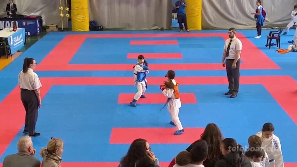 Karate: 9 medaglie per il Master Rapid SKF a Brembate