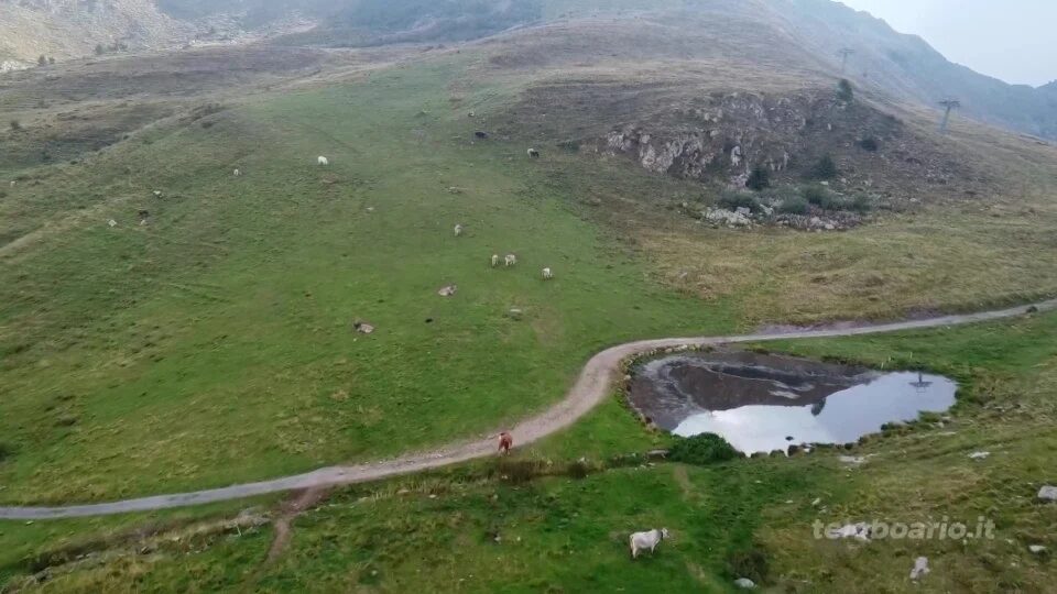 Turismo alternativo per la Valgrigna: nasce i “Monti del fiurit”