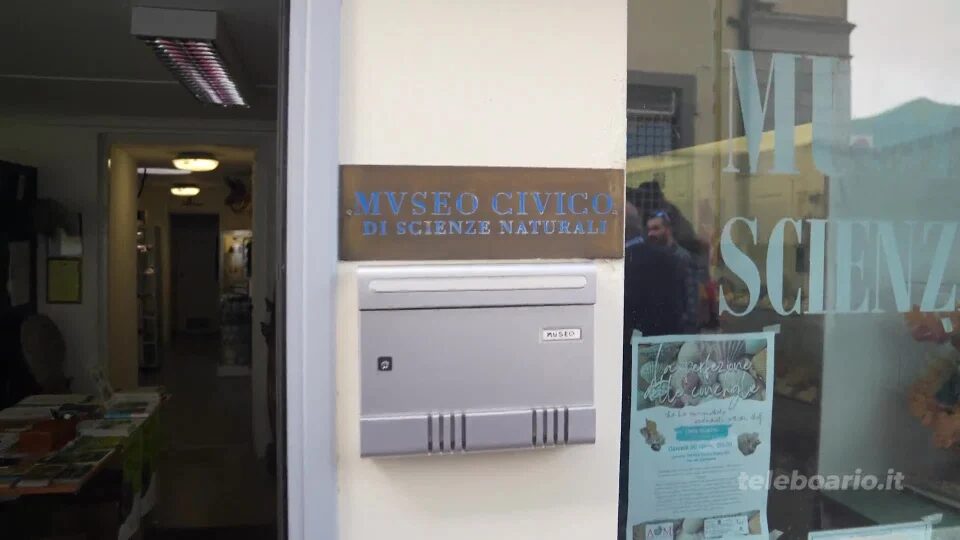 Lovere: nuovi spazi per il Museo delle scienze