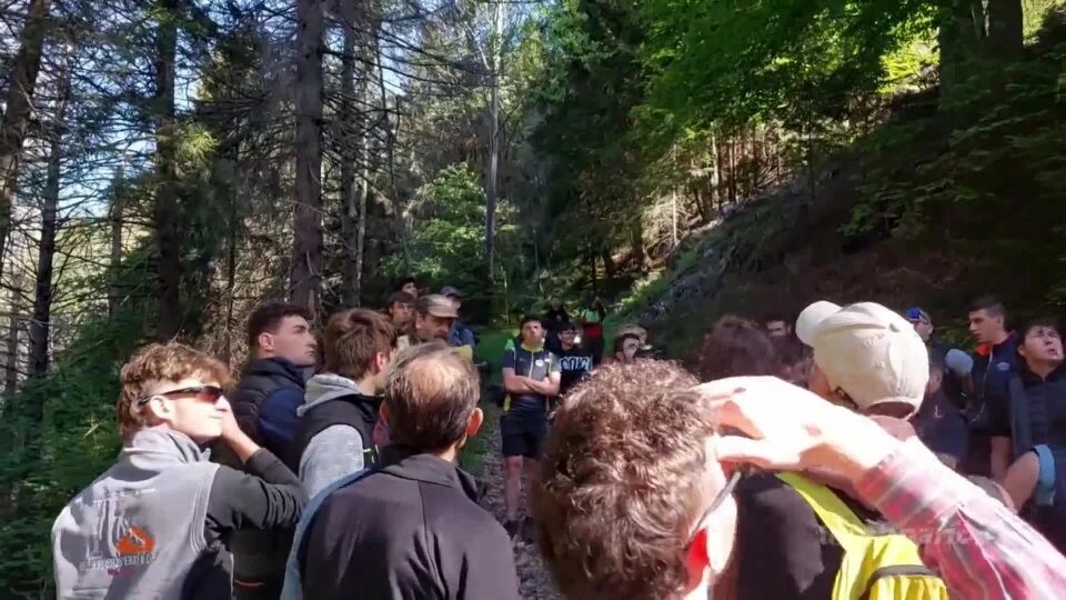 Val Malga, sopralluogo tecnico per il bostrico
