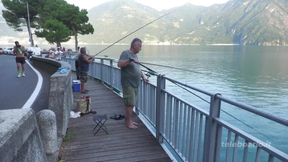 Avanza il siluro, arretra la sardina