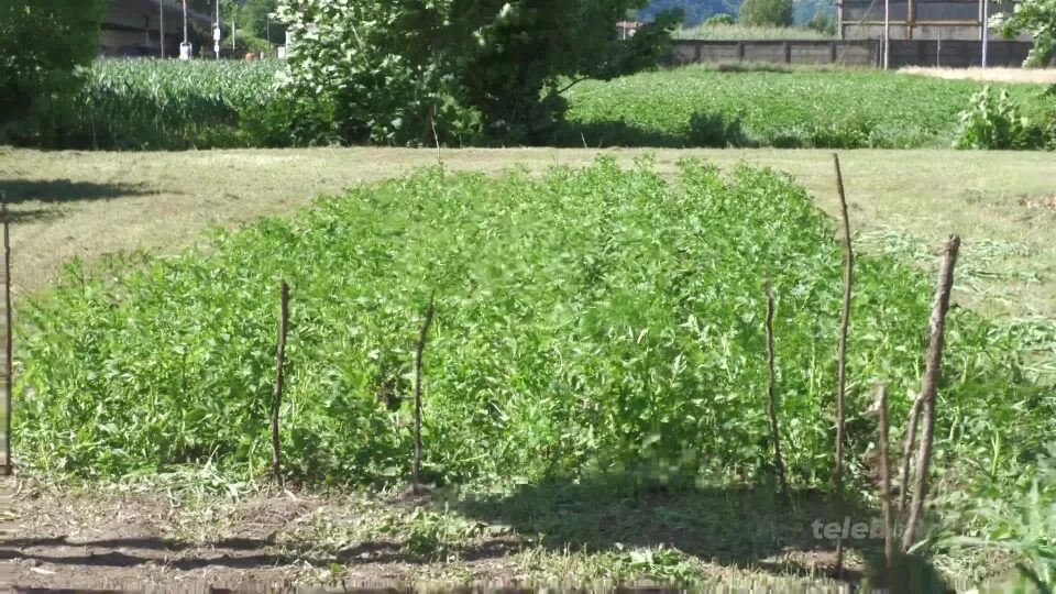 Gratacasolo: nasce ”Frutto della Coesione” per favorire l’invecchiamento attivo