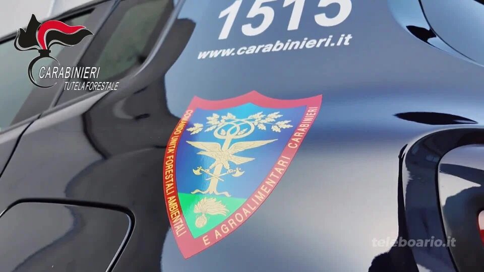 Illecito smaltimento di rifiuti, nei guai azienda tessile