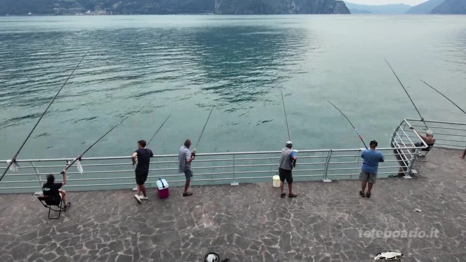 Pesca alle sardine: la regola dei tre giorni ha funzionato