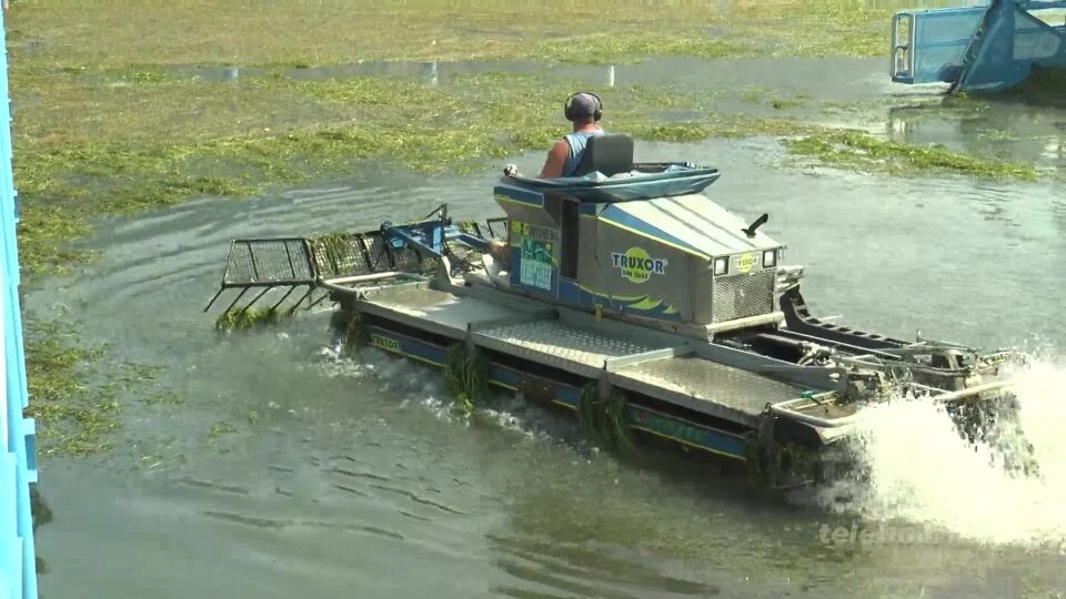 Alghe nel lago, il turismo rischia di soffocare