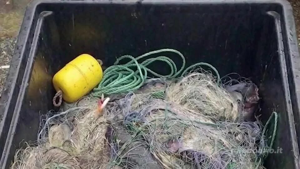 Bracconieri e pescatori di frodo, due denunciati