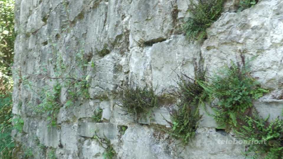 Siti minori in Vallecamonica: il castello di Esine