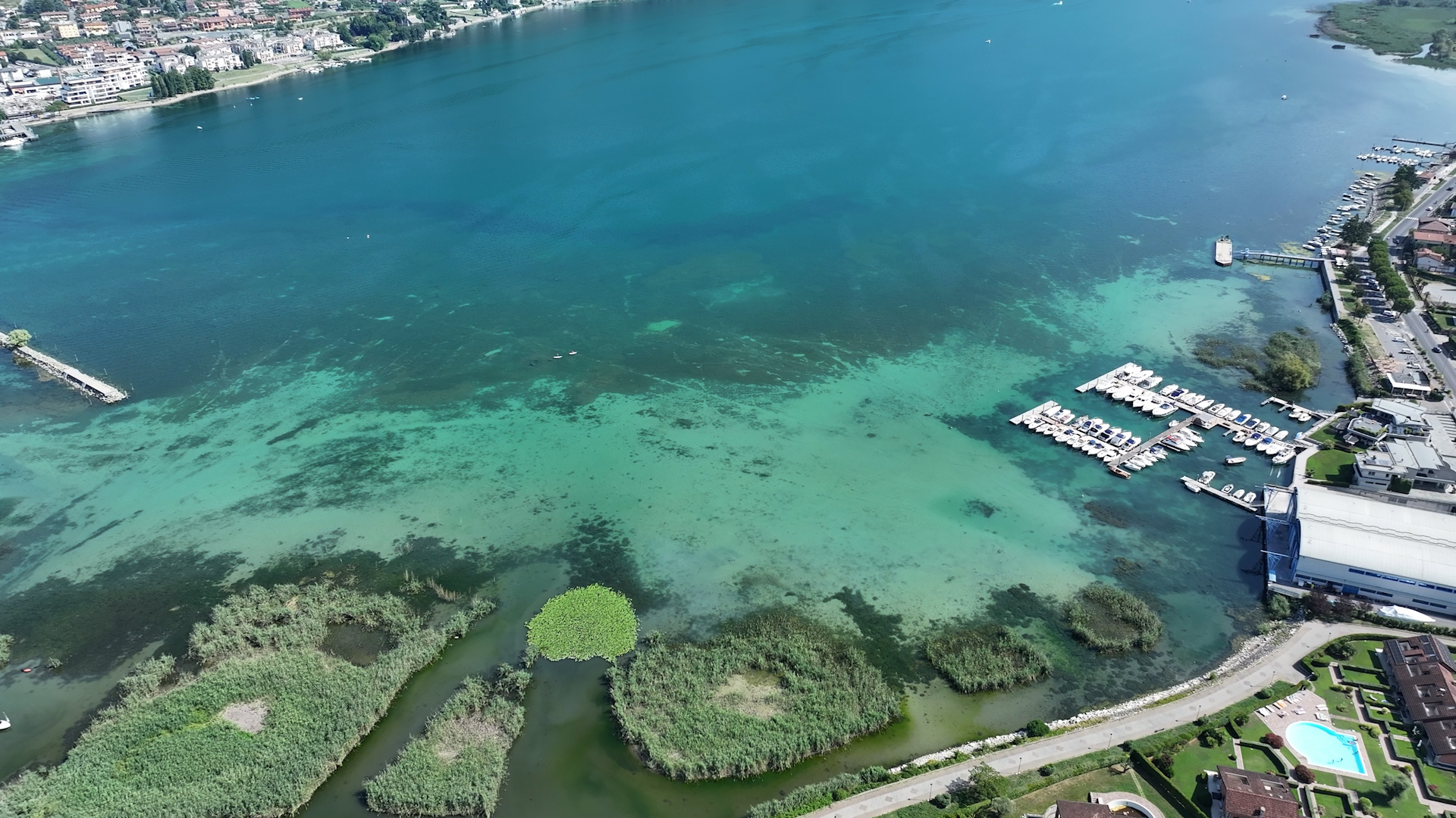 Emergenza alghe: Iseo stanzia un contributo straordinario